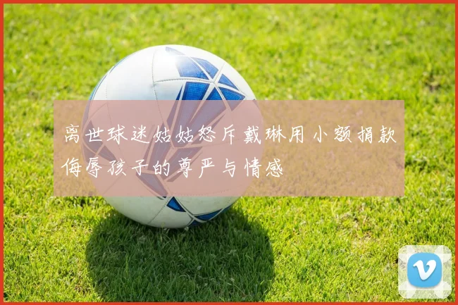 离世球迷姑姑怒斥戴琳用小额捐款侮辱孩子的尊严与情感