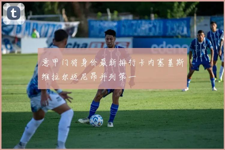 意甲门将身价最新排行卡内塞基斯维拉尔迈尼昂并列第一
