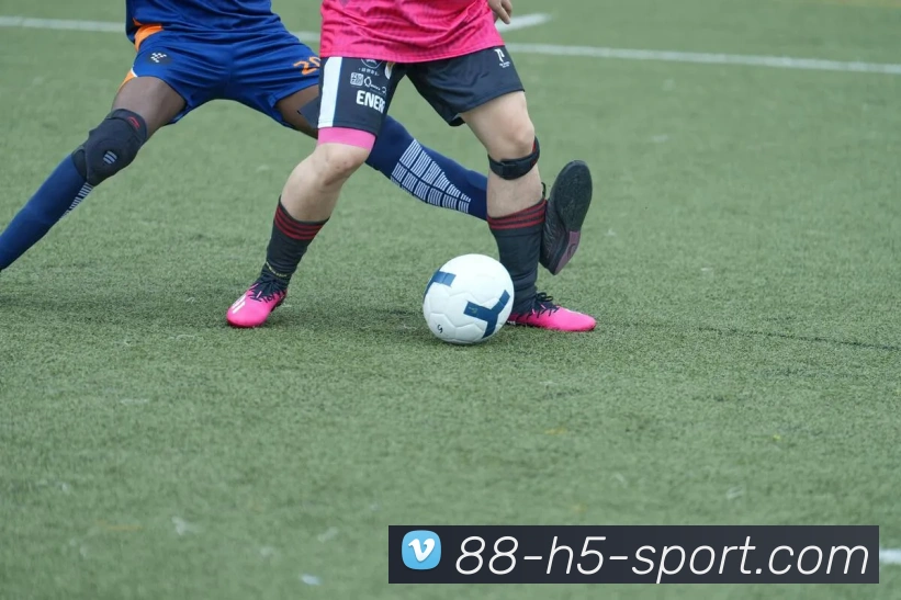 App Interface Preview